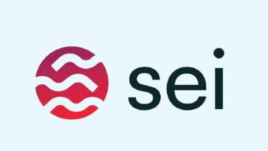 "شبكة ساي تطلق USDC الأصلي وتفتتح الوصول إلى CCTP V2 – تعرف على التفاصيل الآن!"