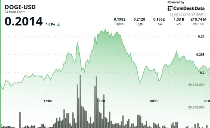 "دوجكوين (DOGE) يرتفع 9% قبل انعكاس حاد.. مقاومة 0.213 دولار توقف الصعود! اكتشف التفاصيل الآن"