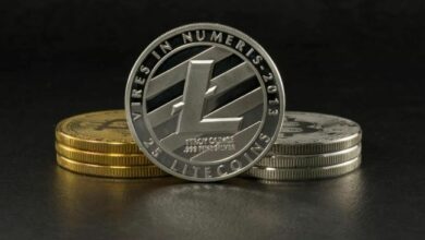 انتعاشة لايتكوين الحادة: فرص المتاجرة السريعة تظهر بينما يبحث زوج LTC/BTC عن الاستقرار