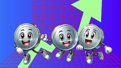 "هوس العملات الميمية ينتقل إلى منصة LetsBONK.fun: لماذا ارتفع سعر Useless Coin بنسبة 20% اليوم؟ اكتشف السبب الآن!"