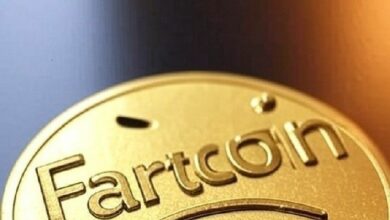 "عملة Fartcoin تتجاوز حاجز الدولار مع إطلاق صندوق Solana ETF الذي يشعل حماس ميم كوينز – اكتشف التفاصيل الآن!"