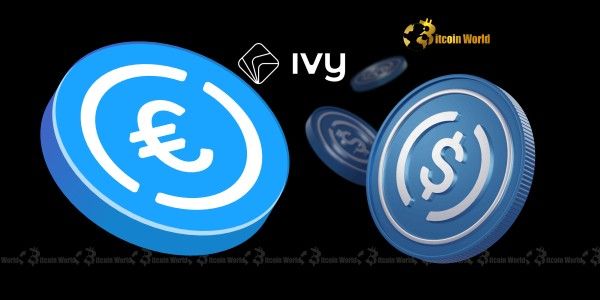 "الشركة الألمانية للتقنية المالية Ivy تطلق تكاملًا سلسًا بين USDC وEURC – اكتشف المزيد!"