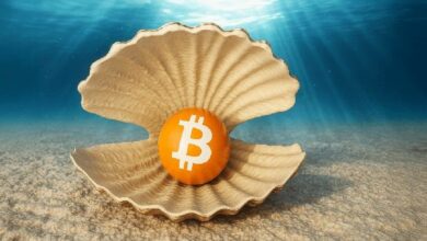 "المتبنون الأوائل للبيتكوين ينقلون ملايين الدولارات مع استمرار قوة الأسعار – اكتشف التفاصيل الآن!"