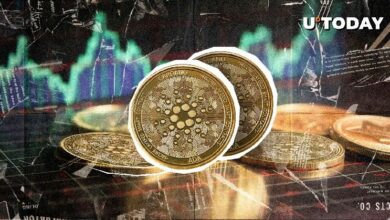 "معاملات كاردانو تتجاوز مليون دولار فجأة.. هل يشهد السعر تحركًا كبيرًا قريبًا؟"