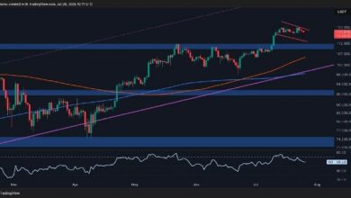 تحليل سعر البيتكوين: هل يشهد BTC انهيارًا إلى 111 ألف دولار قريبًا؟ اكتشف الآن!
