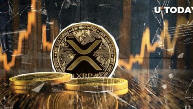 "نمو شبكة XRP Ledger يحافظ على مستويات مرتفعة.. اكتشف التفاصيل الآن!"
