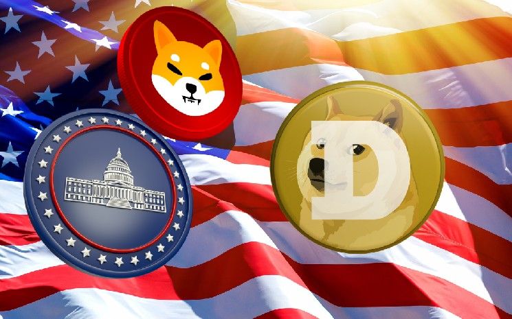 "مستثمرو MAGACOIN FINANCE يتدفقون بعد تقلبات سعر DOGECOIN بحثًا عن الجوهرة المستقبلية الرابحة – اكتشف السبب الآن!"