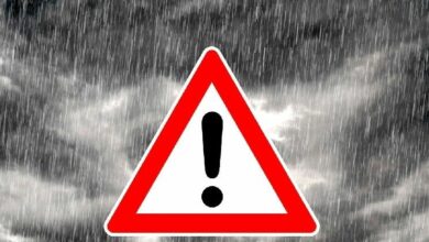 "المستثمرون في Linqto في خطر كبير – خبير يحذر من خسائر فادحة!"