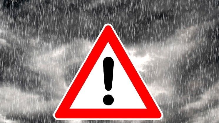 "المستثمرون في Linqto في خطر كبير – خبير يحذر من خسائر فادحة!"