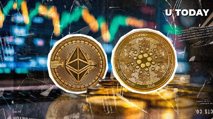 إيثريوم وكاردانو يتصدران نشاط التطوير مع انتعاش سوق العملات الرقمية – تعرف على التفاصيل!
