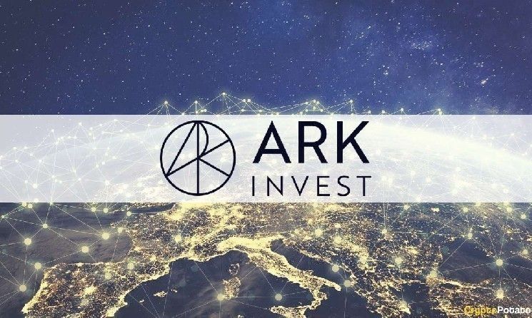 "شركة Ark Invest تستثمر بكثافة: بيع كبير لأسهم Coinbase وصندوقها البيتكوين ARKB! اكتشف التفاصيل الآن"