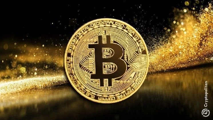 **"مالكو البيتكوين: شباب، ذكور، متعلمون، وميولهم جمهورية – اكتشف التفاصيل الآن!"**