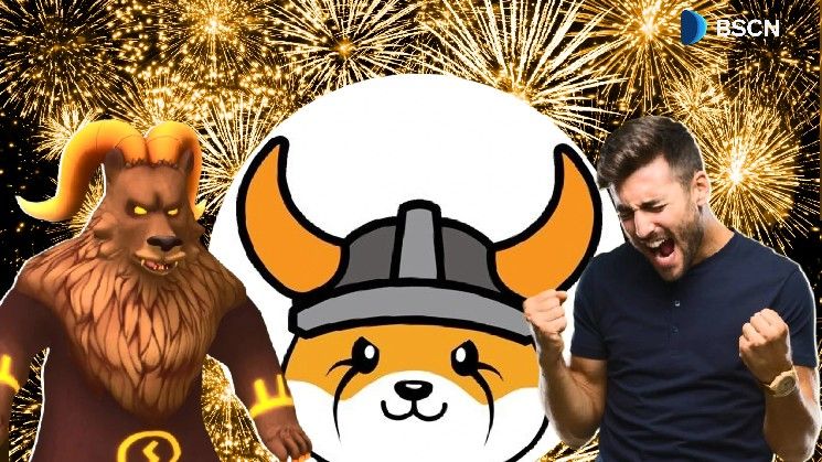 "كل ما تحتاج معرفته عن إطلاق شبكة فلوكي الرئيسية 'فالهالا' في 30 يونيو – اكتشف التفاصيل الآن!"