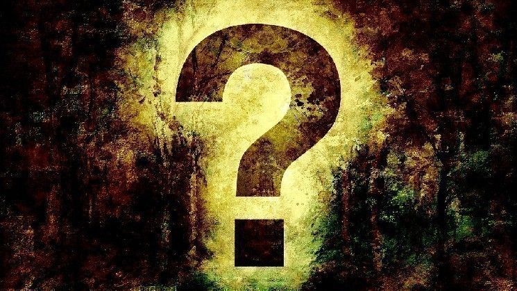 احذر: نشاط مريب في محافظ الشركة على البلوكشين – إيداع أموال قد يشير إلى شراء كميات كبيرة من العملات البديلة