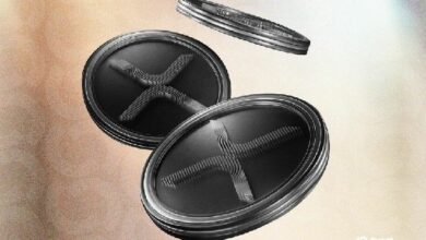 "إكس آر بي يمحو المكاسب بعد تحقيق رقم قياسي جديد – هل ما زال لديه مجال للارتفاع؟ اكتشف الآن!"