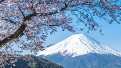 "إس بي آي اليابانية تتيح للمستخدمين استبدال نقاط البطاقات الائتمانية بالبيتكوين والإيثيريوم وXRP – اكتشف التفاصيل الآن!"