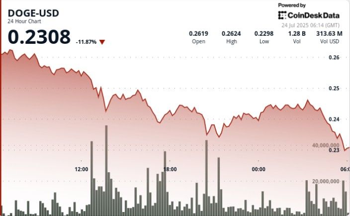 "انخفاض صارخ لـ Dogecoin بنسبة 11% مع خروج الرهانات المؤسسية وسط عمليات بيع مكثفة – تعرف على التفاصيل الآن!"