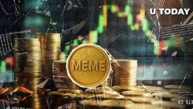 العملات الميمية في المنطقة الخضراء: إليك الأكثر أداءً بينها