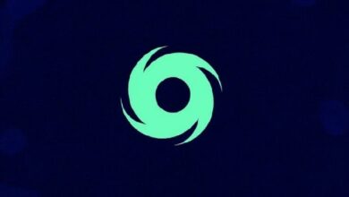 "رومان ستورم من تورنادو كاش يحقق انتصارًا جزئيًا في قضية غسل الأموال بدفاع عن الخصوصية"