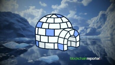 "عملة PENGU ضمن أفضل أداء للرموز OFT مع ارتفاع التحويلات +30% عبر بروتوكول ستارغيت متعدد السلاسل – اكتشف التفاصيل الآن!"