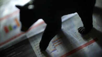 سعر البيتكوين قد يهوي إلى 109 ألف دولار — هذا النمط البياني يشير إلى ذلك (تعرف على التفاصيل الآن!)