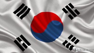 انفجار في أحجام التداول على منصات العملات الرقمية الكورية الجنوبية لهذه الألتكوينات – لا بيتكوين ولا إيثريوم في القائمة!