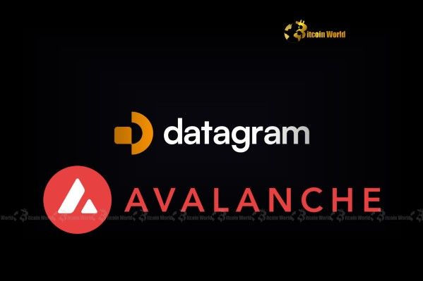 "Datagram تطلق أول شبكة بلوكشين من الطبقة الأولى مدعومة بالذكاء الاصطناعي على Avalanche بتمويل 4 ملايين دولار – اكتشف الثورة الآن!"