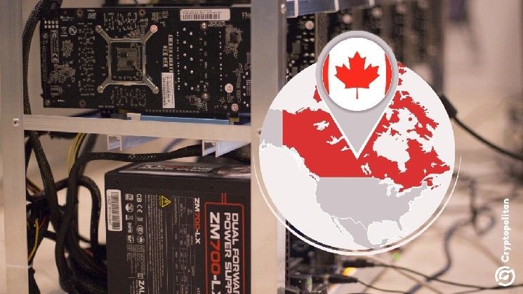 "مدرسة ابتدائية كندية تقاضي مُعدن عملات رقمية بسبب ضوضاء 'لا تتوقف أبداً' – تعرف على التفاصيل!"