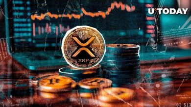 "اختلال تصفية غير مسبوق بنسبة 51,209% يُذهل متداولي XRP الهبوطيين – اكتشف التفاصيل الآن!"