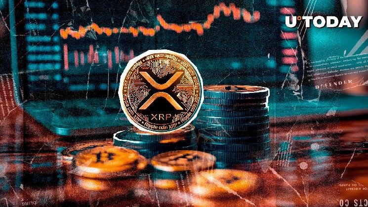"اختلال تصفية غير مسبوق بنسبة 51,209% يُذهل متداولي XRP الهبوطيين – اكتشف التفاصيل الآن!"
