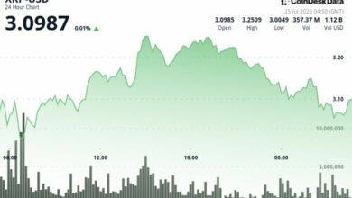 ارتفاع حاد في تقلبات XRP مع تصفية مراكز شراء بقيمة 105 مليون دولار وسط مخاوف من صناديق الاستثمار المتداولة (ETF)