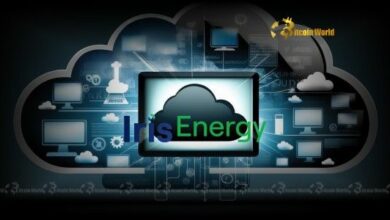 "أيريس إنرجي تحقق قفزة هائلة: إيرادات قياسية وتوسع كبير في خدمات الذكاء الاصطناعي السحابية في يونيو – اكتشف التفاصيل الآن!"