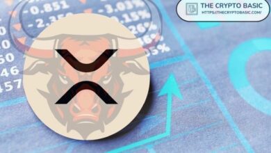 "خبير يحذر: تجاهل عملة XRP وسيفوتك أعظم تحول للثروة في التاريخ!"