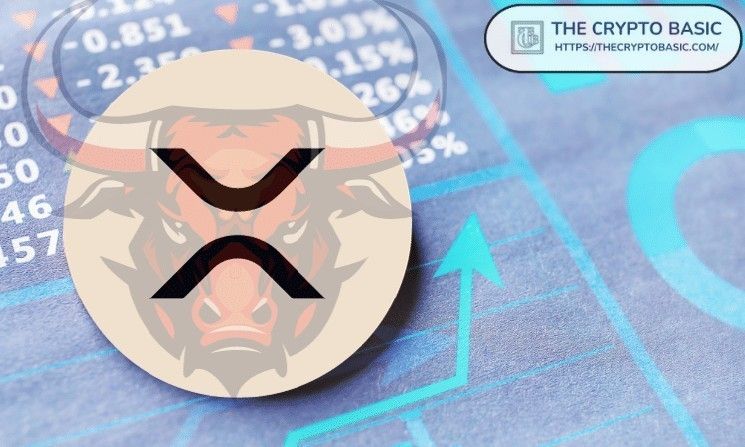 "خبير يحذر: تجاهل عملة XRP وسيفوتك أعظم تحول للثروة في التاريخ!"