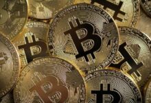 "مستثمرو البيتكوين يحققون أرباحًا غير محققة بقيمة 1.2 تريليون دولار.. لكنها سلاح ذو حدين!"