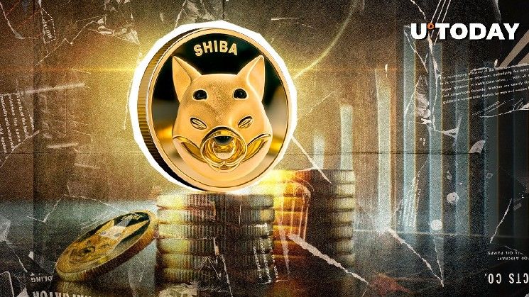 ارتفاع سعر شيبا إينو بنسبة 600%: SHIB يحقق قفزة هائلة - اكتشف التفاصيل الآن!