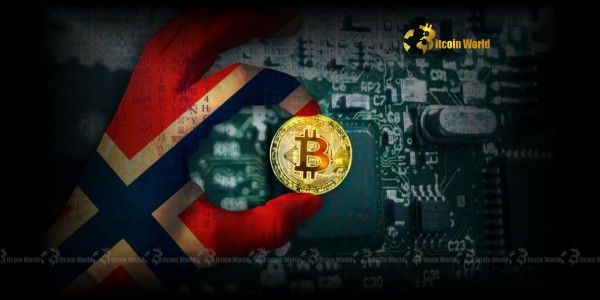 إجراء جريء من K33: احتياطيات البيتكوين ترتفع إلى 121 BTC – اكتشف التفاصيل الآن!