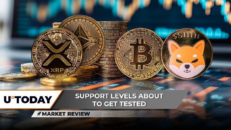هل يتفوق XRP على الإيثيريوم؟ بيتكوين (BTC) على أعتاب 150,000 دولار.. شيبا إينو (SHIB) تواجه اختبارها الأصعب هذا الصيف!