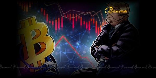 الكشف عن الحقيقة المهمة: هل استراتيجيتك لإدارة خزينة البيتكوين مستدامة حقًا؟