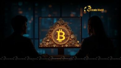 "احتياطيات البيتكوين: طموح ANAP الملحوظ لحيازة 1000 BTC بحلول أغسطس – اكتشف التفاصيل الآن!"