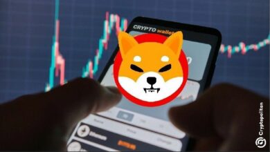 شيبا إنو تعمل على تطوير هوية شيب مقاومة للكم: تعرف على التفاصيل الآن!