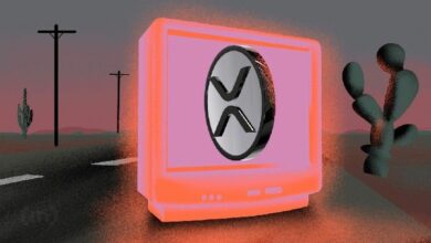 "رئيس التقنية في Ripple يحذر من عمليات توزيع مزيفة بعد وصول XRP إلى أعلى مستوى له على الإطلاق – احذر من هذه الخدع!"