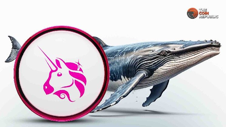 سعر Uniswap يعكس الاتجاه وسط رهان الحيتان: هل نحن على أعتاب صعود 100% لـ UNI؟ اكتشف الآن!