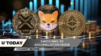 "XRP على وشك تحرك حاسم بنسبة 10% لبدء الصعود! شيبا إينو (SHIB) يعطي الأمل للمتفائلين، وإيثريوم (ETH) يبدأ اختراق 3000 دولار – تعرف على التفاصيل الآن!"