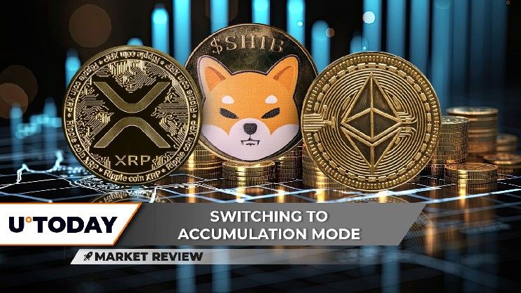 "XRP على وشك تحرك حاسم بنسبة 10% لبدء الصعود! شيبا إينو (SHIB) يعطي الأمل للمتفائلين، وإيثريوم (ETH) يبدأ اختراق 3000 دولار – تعرف على التفاصيل الآن!"