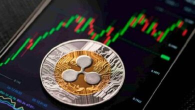 "عملة XRP تخسر 20 مليار دولار في يوم واحد بعد قرار هيئة الأوراق المالية المثير بالجدل حول صناديق ETFs – اكتشف التفاصيل الآن!"