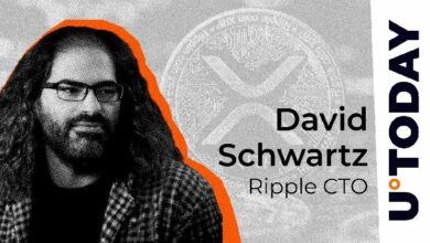"رئيس التقنية في Ripple يحذر حاملي XRP عبر إنستغرام: السبب وراء هذه التحذيرات المهمة!"