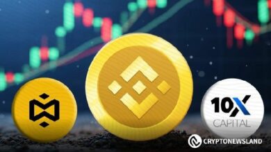 أفضل 3 عملات للإستاكنج لمشاهدتها في يناير: كيف تحقق أقصى استفادة من مكافآتك في عالم الكريبتو