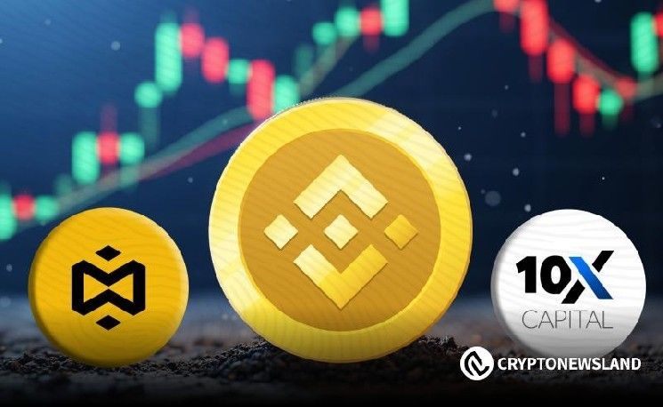 أفضل 3 عملات للإستاكنج لمشاهدتها في يناير: كيف تحقق أقصى استفادة من مكافآتك في عالم الكريبتو