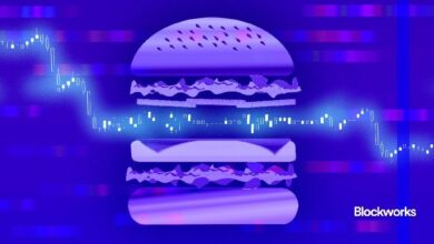 هجمات "ساندويتش" على سولانا تشهد انخفاضًا كبيرًا: ماكس ريسنيك من أنزا يكشف التفاصيل